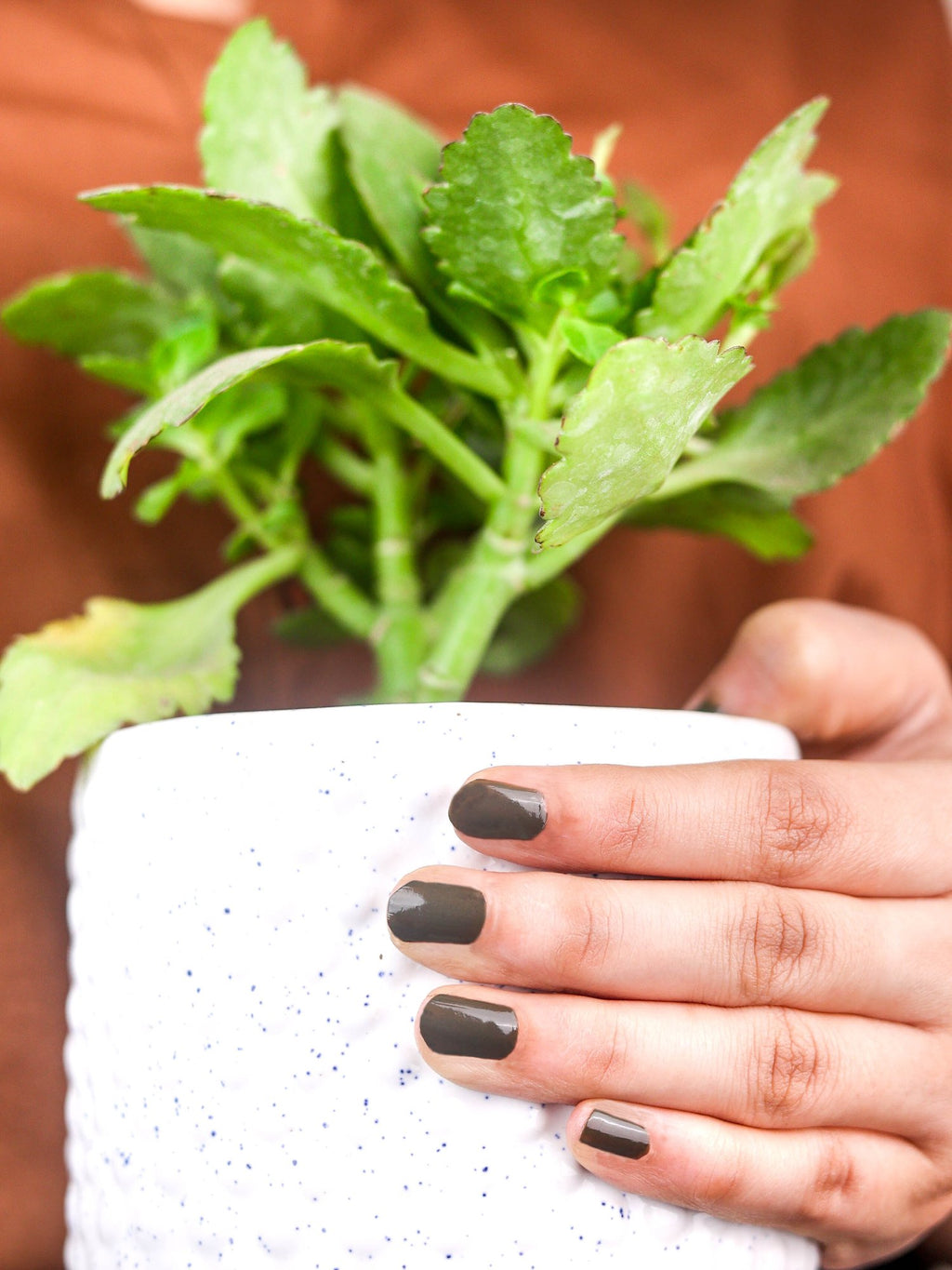 Xprss Nail Polish - Olive Green, 309